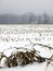 Farm: winter snow corn field