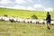 Farm Worker With Flock Of Sheep