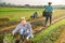 Farm worker harvesting red mustard greens on field