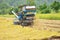 Farm worker harvesting rice