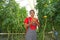 Farm worker picking tomato