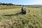 A farm worker rolling a round hay bale on a grass field towards a pile of hay bales