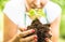 Farm worker taking care on small basil plant at alternative farm