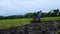 Farm worker uses hand tractor plowing machine to prepare for rice planting