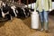 Farm worker walks through dairy farm and carries large milk can