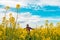 Farm worker wearing red plaid shirt and trucker`s hat standing in cultivated rapeseed field in bloom and looking over crops