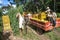 Farm workers arrive in the tomato fields