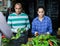 Farm workers sorting freshly harvested green peppers