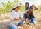 Farm workers on wine farm picking fresh grapes off plant in vineyard together in summer. Farmers smile and check crops