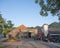 Farm yard of dairy farm in north german east frisia on sunny summer morning