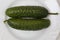 Farmed cucumbers. Healthy vegetables. Proper nutrition. Selective focus