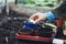 Farmer adding pesticides in the soil for plantations