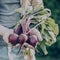 Farmer Adult Man Holding Fresh Tasty Beetroots in Garden Morning