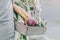 Farmer Adult Man Holding Fresh Tasty Vegetables in Wooden Box in Garden Early Morning