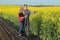 Farmer and agronomist in blossoming rapeseed field