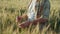 Farmer-agronomist examines the ears of barley.