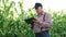 Farmer agronomist in field corn at sunset. Ecoculture farm. Senior farmer, business owner looks in tablet in field corn