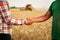 Farmer and agronomist shaking hands standing in a wheat field after agreement. Agriculture business contract concept