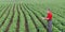 Farmer or agronomist in soy bean field with tablet