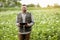 Farmer or agronomist uses digital tablet to analyse and check the growth and disease of the blooming plants in the