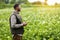 Farmer or agronomist uses digital tablet to analyse and check the growth and disease of the blooming plants in the