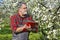 Farmer analyzes flower cherry