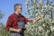 Farmer analyzes flower cherry