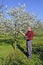 Farmer analyzes flower cherry