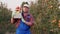 Farmer with apples. Apple harvest. Happy man carries a box of freshly picked apples. backdrop of apple farm orchard