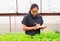 Farmer Asian woman with notebook examines the growing coriander seedlings on the farm and diseases in greenhouse.
