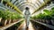 Farmer Astronaut in a Greenhouse Full of Small Green Plants - Generative Ai