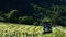 Farmer bails hay with blue tractor in a field with rows of mowed green grass, coming toward camera.