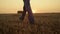 Farmer boots walk field with haystack at golden sunset closeup. Rural concept