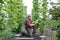 Farmer with bunch of grapes in hands standing in modern orchard