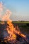 Farmer burns green wastes in bonfire, bonfire outdoors