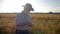 Farmer businessman in cowboy hat on the field checks the ripening of grain crops