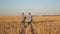 Farmer and businessman with tablet working as a team in field. agronomist and farmer are holding a grain of wheat in