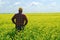 Farmer in Canola Crop