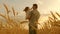 Farmer carries a little daughter in his arms through a field of wheat. happy child and father are playing in field of