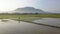 A farmer carry a how at his shoulder walk in the rice paddy farm.