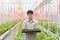 Farmer carry melon seedling tray in greenhouse