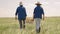 farmer is carrying a box of freshly grown potatoes across the field, vegetables on the farm for fall harvest, healthy