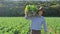 A farmer carrying a crate of cabbages on his shoulder at plantation.