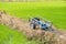 Farmer cart to collect harvest rice