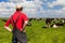 Farmer with cattle cows