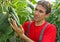 Farmer checking cucumber