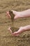 Farmer Checking Soil Quality of Fertile Agricultural Farm Land