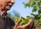 Farmer checking up condition of apple tree