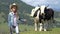 Farmer Child Pasturing Cows, Cowherd Girl with Cattle on Meadow in Mountains 4K