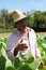 Farmer at cigar plantation in Rural area of Cuba